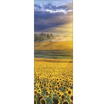 Glasbild Sonnenblumenfeld 30x80 cm GLA856