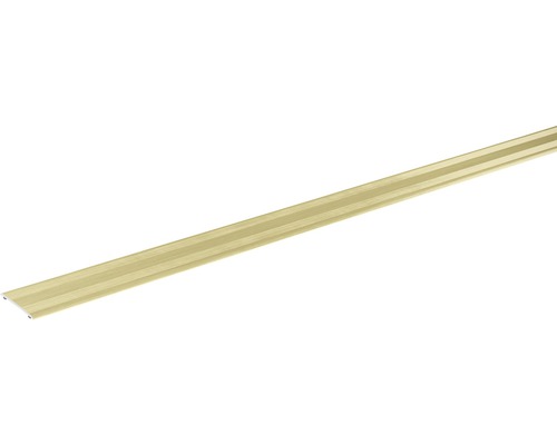 SKANDOR Übergangsprofil champagner eloxiert selbstklebend 2x28x900 mm Profilleiste aus Aluminium
