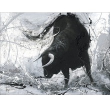 Leinwandbild Aggressive Taurus 116x84 cm