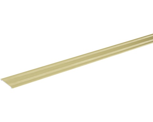 SKANDOR Übergangsprofil champagner eloxiert selbstklebend 2x38x900 mm Übergangsprofil aus Aluminium