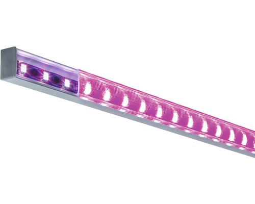 Lampe de croissance LED pour la culture de plantes