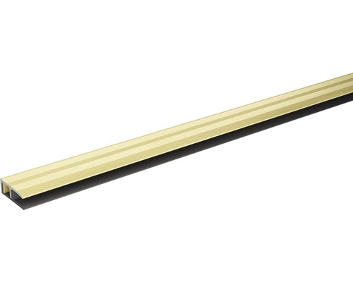 Profilé de finition SKANDOR champagne anodisé avec rail à clip 10x28x900 mm