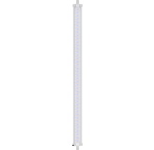 LED Röhre