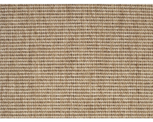 Moquette à poils ras Outsider African Stardust beige FB26 400 cm de large (au mètre)