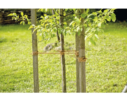 Gartenschnur FloraSelf Jute 250 m