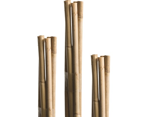 Tige en bambou FloraSelf H 90 cm Ø 6 mm marron 10 pièces