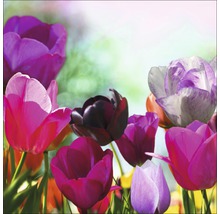 Gros plan de tulipes dans le jardin
