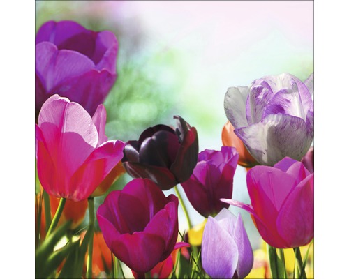Gros plan de tulipes dans le jardin