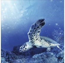 Glasbild Blue Sea I 20x20 cm GLA1078