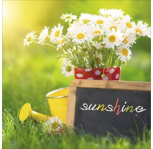 Scène avec des marguerites dans un pot, un arrosoir et un tableau noir avec l''inscription Sunshine