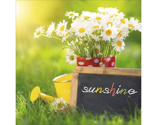 Scène avec des marguerites dans un pot, un arrosoir et un tableau noir avec l''inscription Sunshine