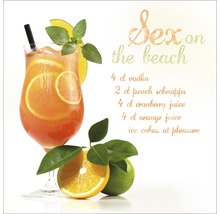Glasbild Sex On The Beach 20x20 cm GLA1162