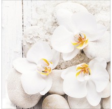 Trois orchidées blanches sur des galets blancs et du sel de bain