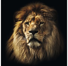 Glasbild The Leader 30x30 cm GLA1178