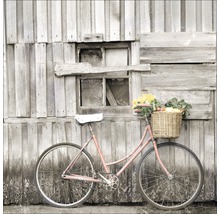 Fahrrad mit Korb vor Holzwand mit Fenster