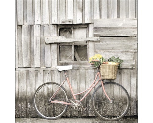 Glasbild Vegetable Bicycle 50x50 cm GLA1266