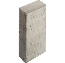 Pavé en béton
