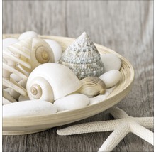 Coupe décorative avec coquillages, pierres et étoile de mer