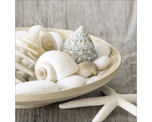 Coupe décorative avec coquillages, pierres et étoile de mer