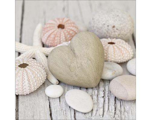 Tableau en verre Decoration II 30x30 cm