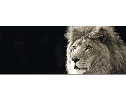 Tableau en verre Lion 30x80 cm