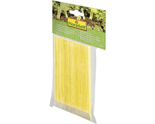 Paquet d''étiquettes en bois à planter pour l''identification des plantes