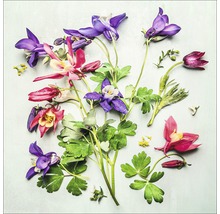 Glasbild Flower Collection V 30x30 cm GLA1746