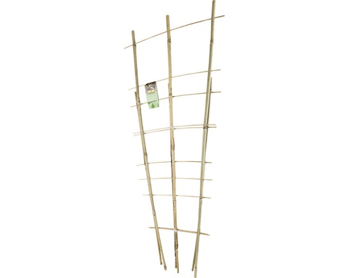 Ensemble d'arceaux de bambou FloraSelf H 60 + 85 cm 2 pièces