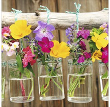 Glasbild Plants In Vases II 50x50 cm GLA1817