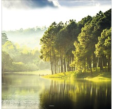 Paysage lacustre avec arbres et colline boisée