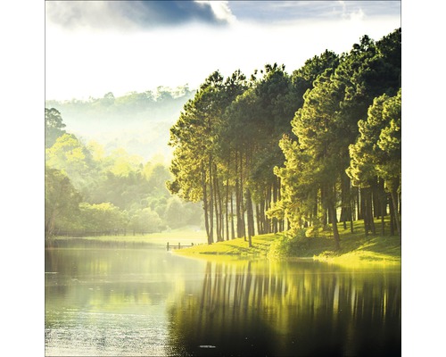 Paysage lacustre avec arbres et colline boisée