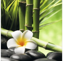 Bambusstäbe, Frangipani Blüte und Steine für eine Wellness Atmosphäre
