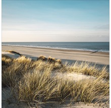 Dune avec roseau des sables devant la mer sous un ciel bleu
