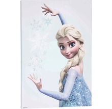 Tableau sur toile La Reine des neiges avec motif Elsa