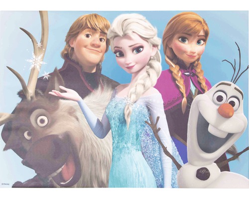 Tableau sur toile Disney Frozen La Reine des neiges Group 50x70 cm
