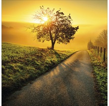Scène de crépuscule avec un arbre sur un chemin de campagne