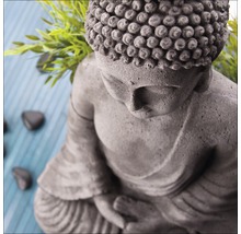 Tableau en verre Zen Garden I 50x50 cm