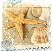 Dekoratives Bild mit Seestern, Muscheln und Sand