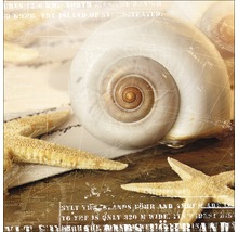 Tableau en verre Jewellery Of The Sea I 30x30 cm