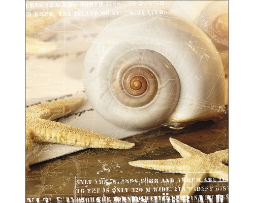 Tableau en verre Jewellery Of The Sea I 30x30 cm