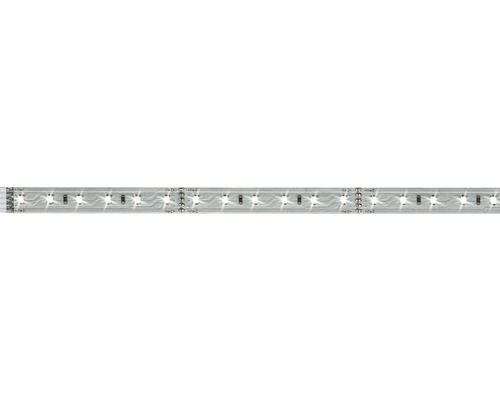 Strip MaxLED 500 1,0 m 550 lm 6500 K blanc naturel 72 LED non-revêtu convient comme extension au set de base 24V convient au Smart Home après extension