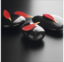 Pierres décoratives noires avec des pétales rouges