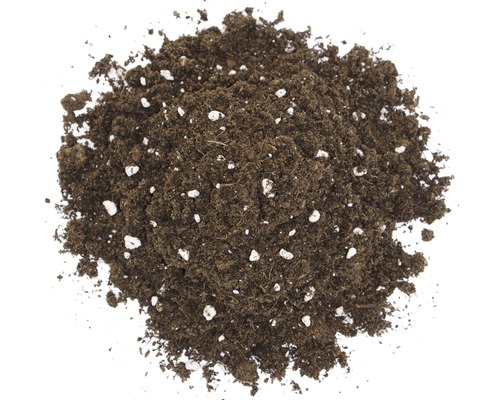 Terre avec perlite pour plantes