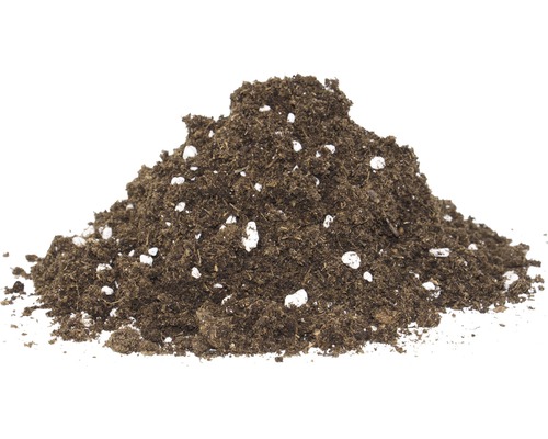 Terreau pour les plantes carnivores Floragard 3 L Terreau pour les plantes carnivores Floragard 3 L