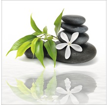 Pile de pierres avec des feuilles et une fleur