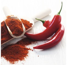 Zwei rote Chilischoten neben zwei Holzlöffeln mit Chilipulver