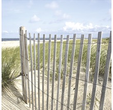 Clôture en bois sur la plage avec vue sur la mer