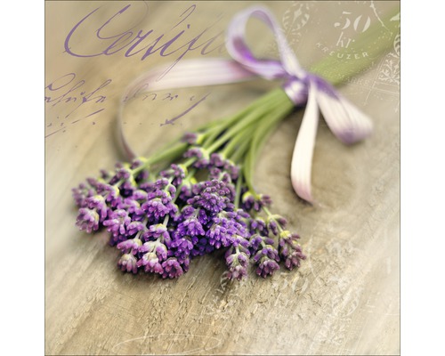 Tableau en verre Lovely Lavender II 50x50 cm