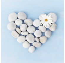 Forme de cœur en pierres avec une seule fleur