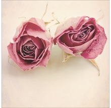 Deux boutons de roses séchées